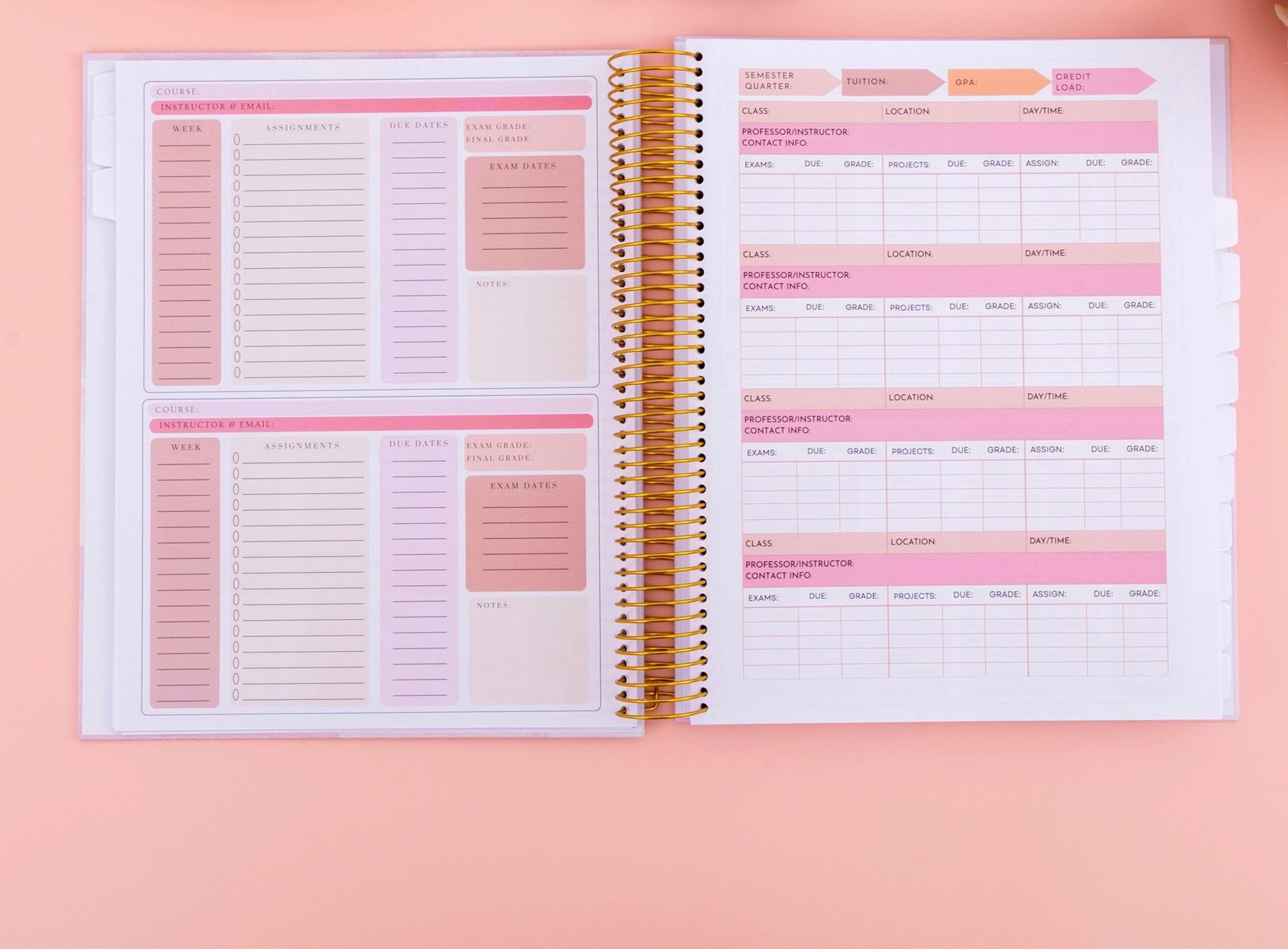 Undated Nursing Student Planner | Hard Cover | Stickers | Templates | Gold Spiral Binding