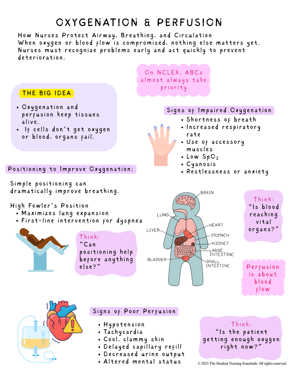 Comprehensive Nursing Fundamentals Study Packet + Practice Quiz