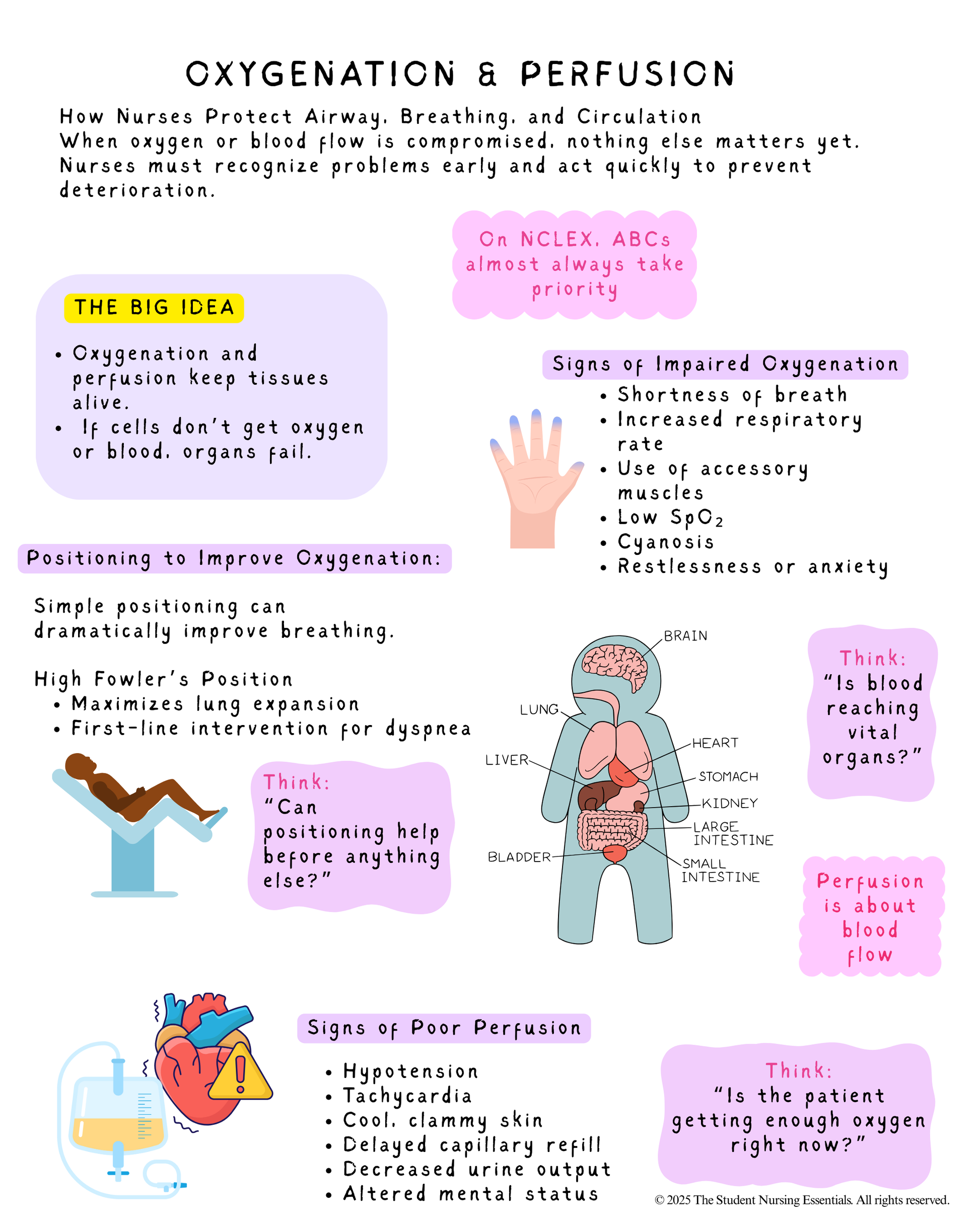 Comprehensive Nursing Fundamentals Study Packet + Practice Quiz