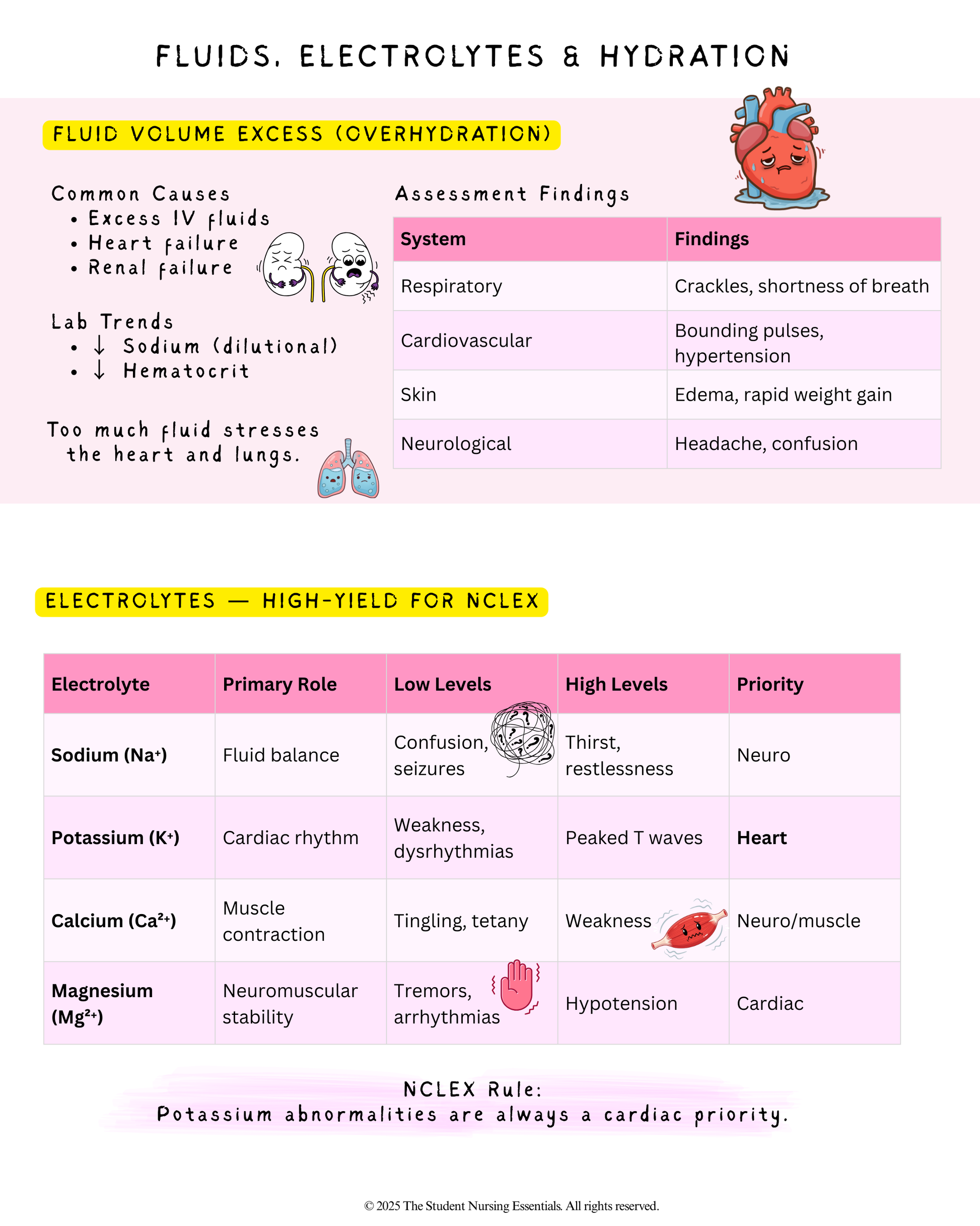Comprehensive Nursing Fundamentals Study Packet + Practice Quiz